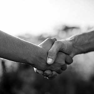 Honesty, Trust and Respect